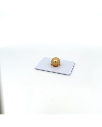 9mm+ jewel  grade South Sea pearl, Philippines