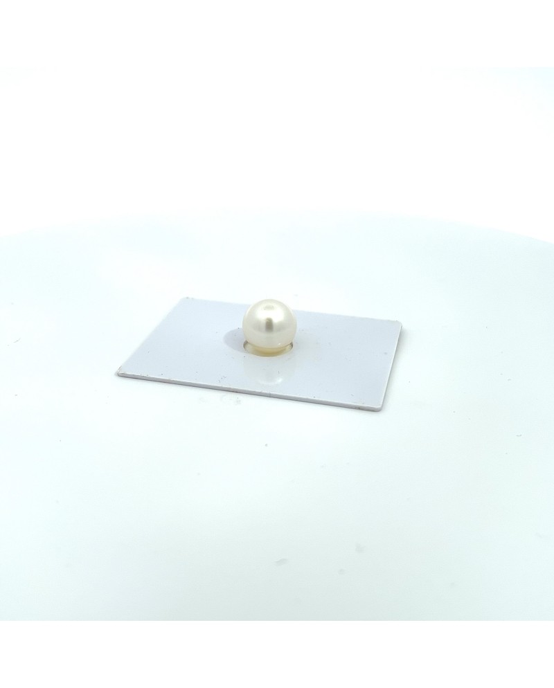 10.9mm South Sea pearl , origin Australia , fine  grade
