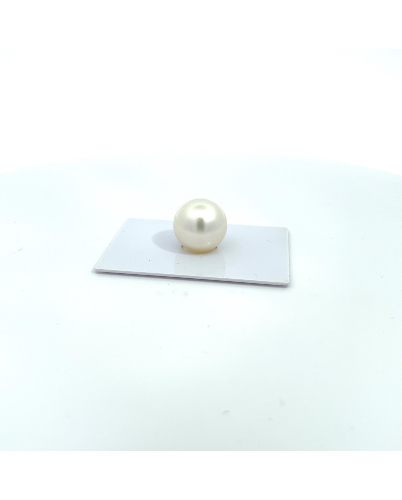 15.00mm South Sea pearl , origin Australia , fine  grade