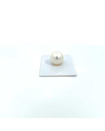 15.00mm South Sea pearl , origin Australia , fine  grade