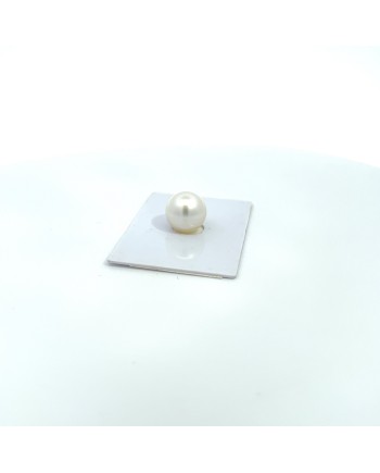 12mm+ gem  grade South Sea pearl, Australia
