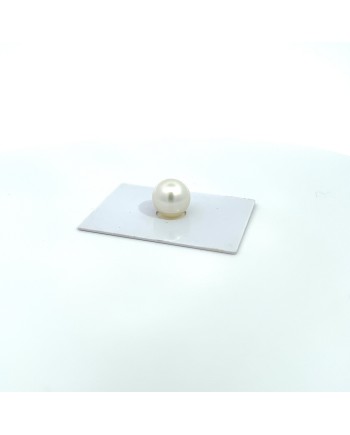 12mm+ gem  grade South Sea pearl, Australia