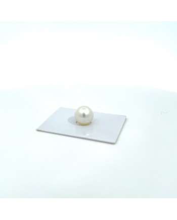 12mm+ gem  grade South Sea pearl, Australia