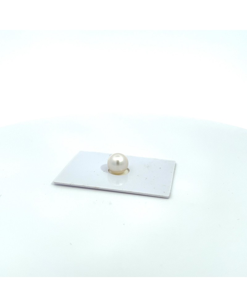 9mm+ fine  grade South Sea pearl, Australia