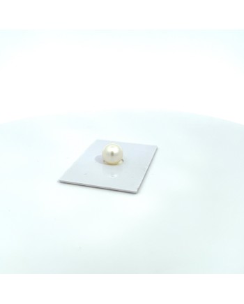 10.20mm South Sea pearl , origin Australia , fine  grade