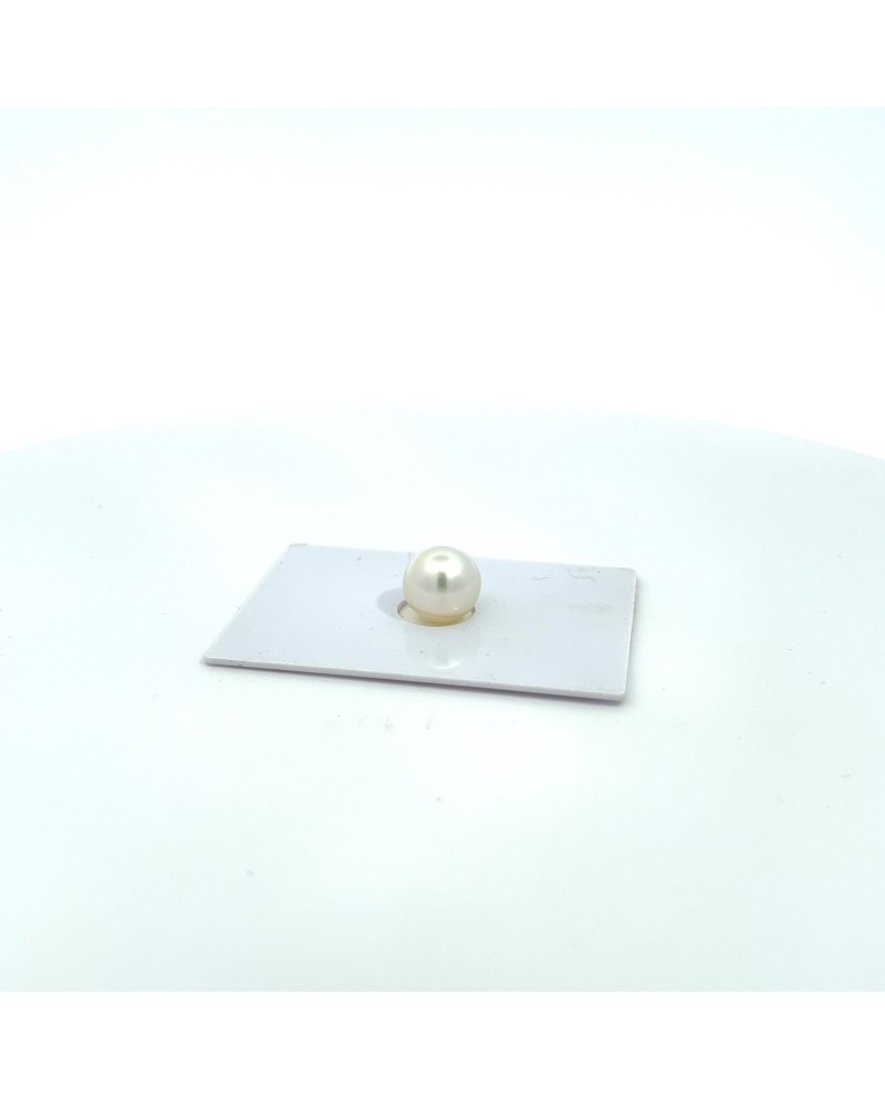 10.01x9.95mm South Sea pearl , origin Australia , gem  grade