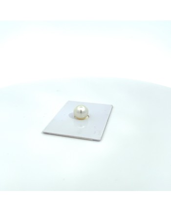 10.01x9.95mm South Sea pearl , origin Australia , gem  grade