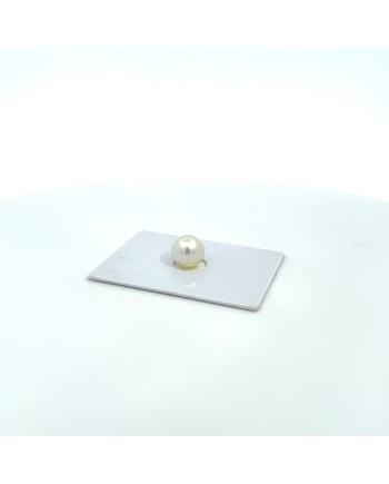 9mm+ gem  grade South Sea pearl, Australia