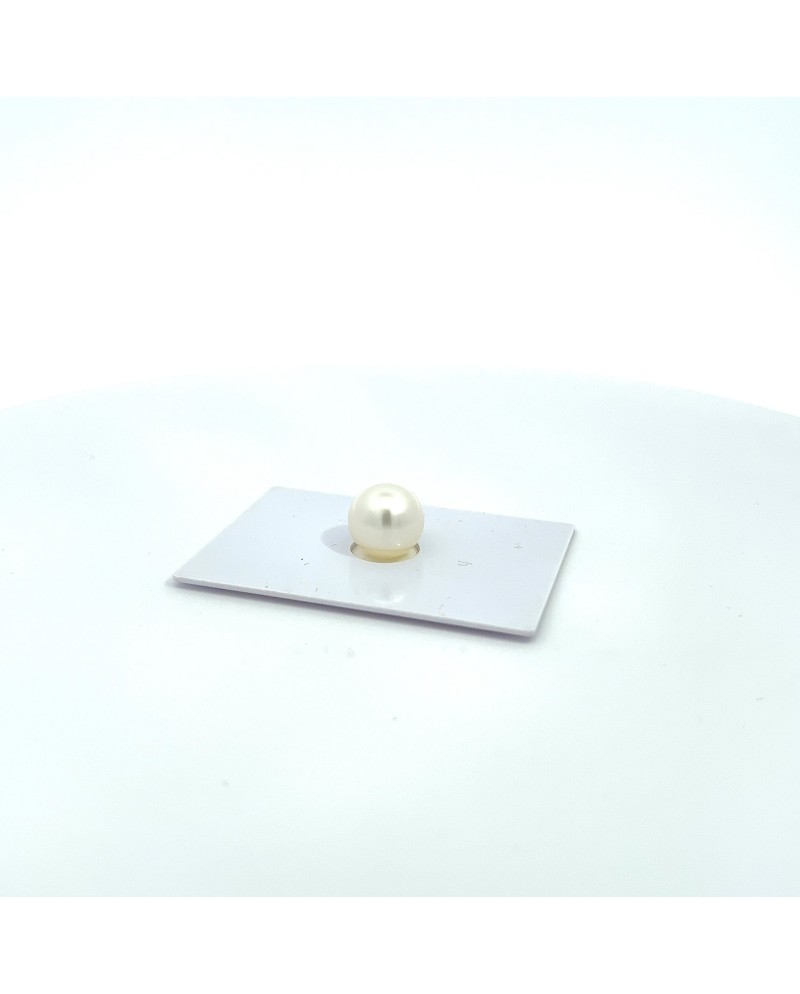 9mm+ fine  grade South Sea pearl, Australia