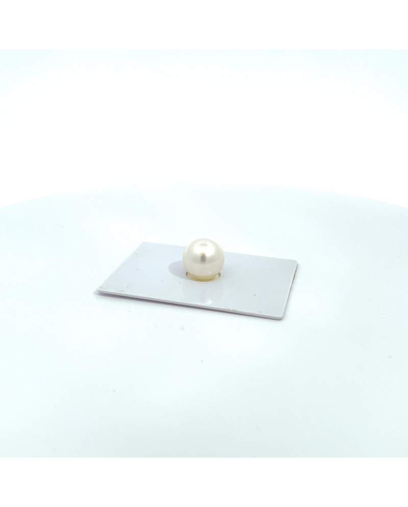 9mm+ fine  grade South Sea pearl, Australia