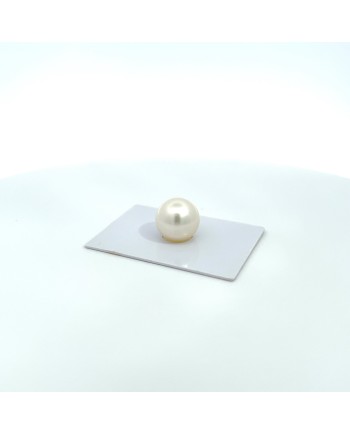 12mm+ gem  grade South Sea pearl, Australia