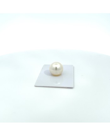12mm+ gem  grade South Sea pearl, Australia