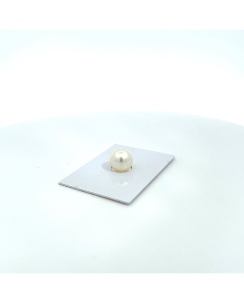 9mm+ fine  grade South Sea pearl, Australia