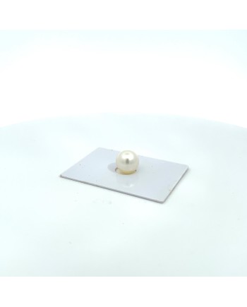 10.90mm South Sea pearl , origin Australia , fine  grade