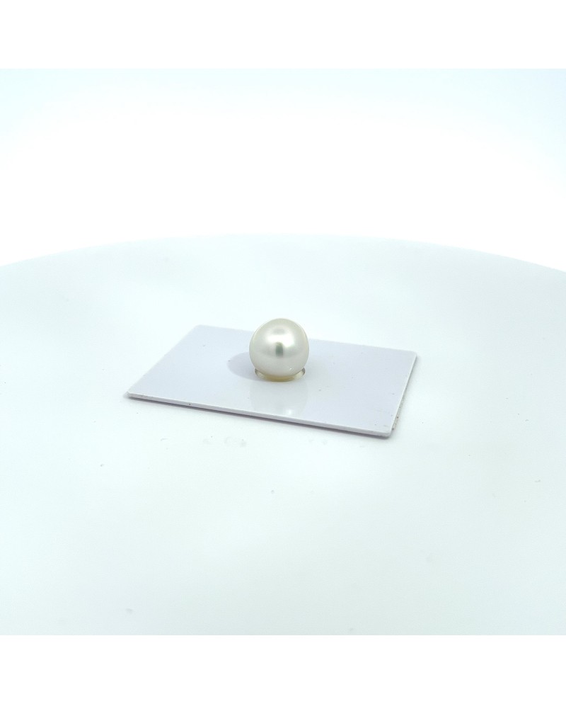 12mm+ gem  grade South Sea pearl, Australia