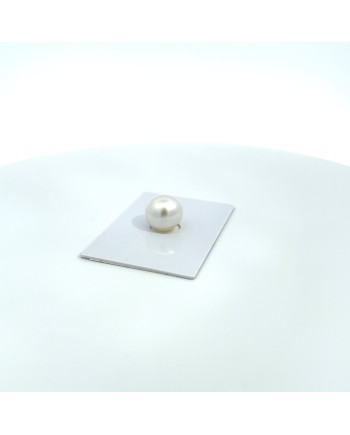 12.61x11.82mm South Sea pearl , origin Australia , gem  grade