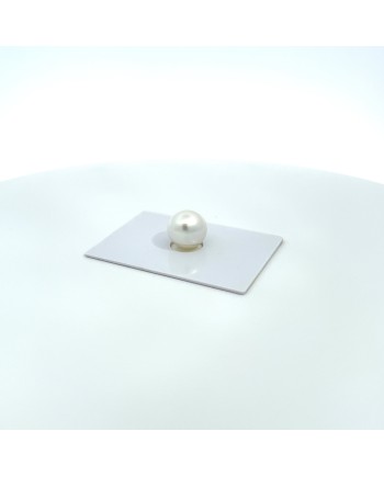 12mm+ gem  grade South Sea pearl, Australia