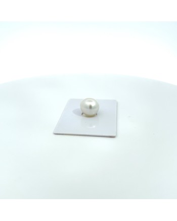 12mm+ gem  grade South Sea pearl, Australia