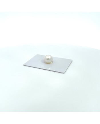 11.20x10.60mm South Sea pearl , origin Australia , fine  grade