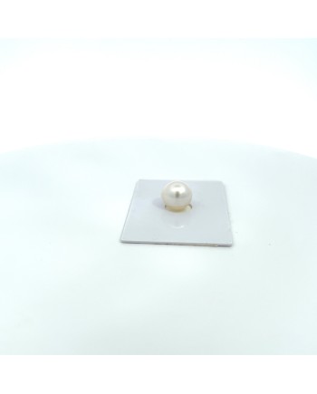 11.20x10.60mm South Sea pearl , origin Australia , fine  grade