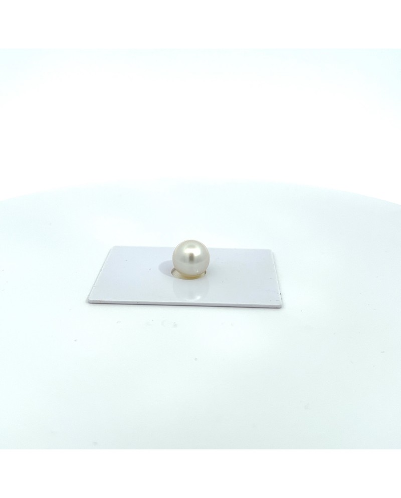9mm+ gem  grade South Sea pearl, Australia