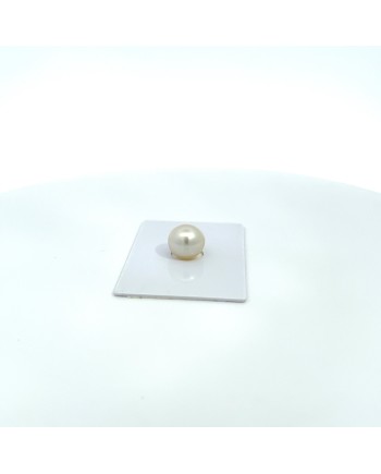 11.22x10.60mm South Sea pearl , origin Australia , gem  grade