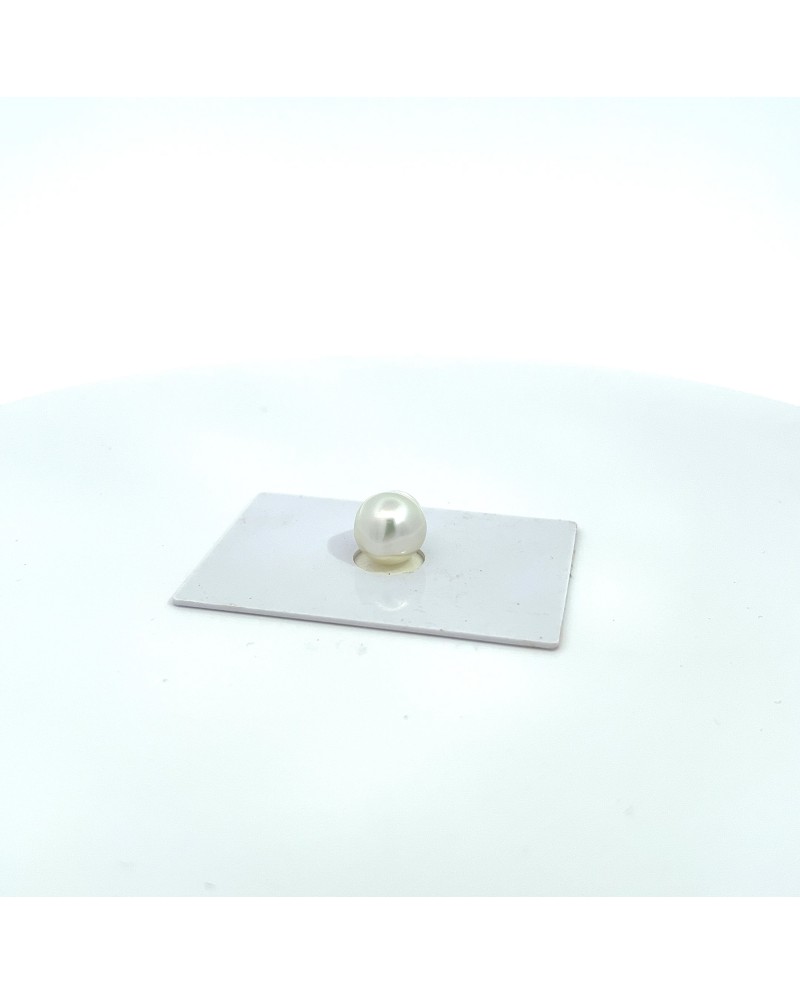 11.20x10.20mm South Sea pearl , origin Australia , gem  grade