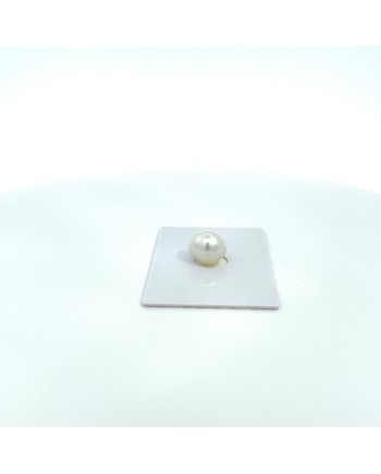 11.20x10.20mm South Sea pearl , origin Australia , gem  grade