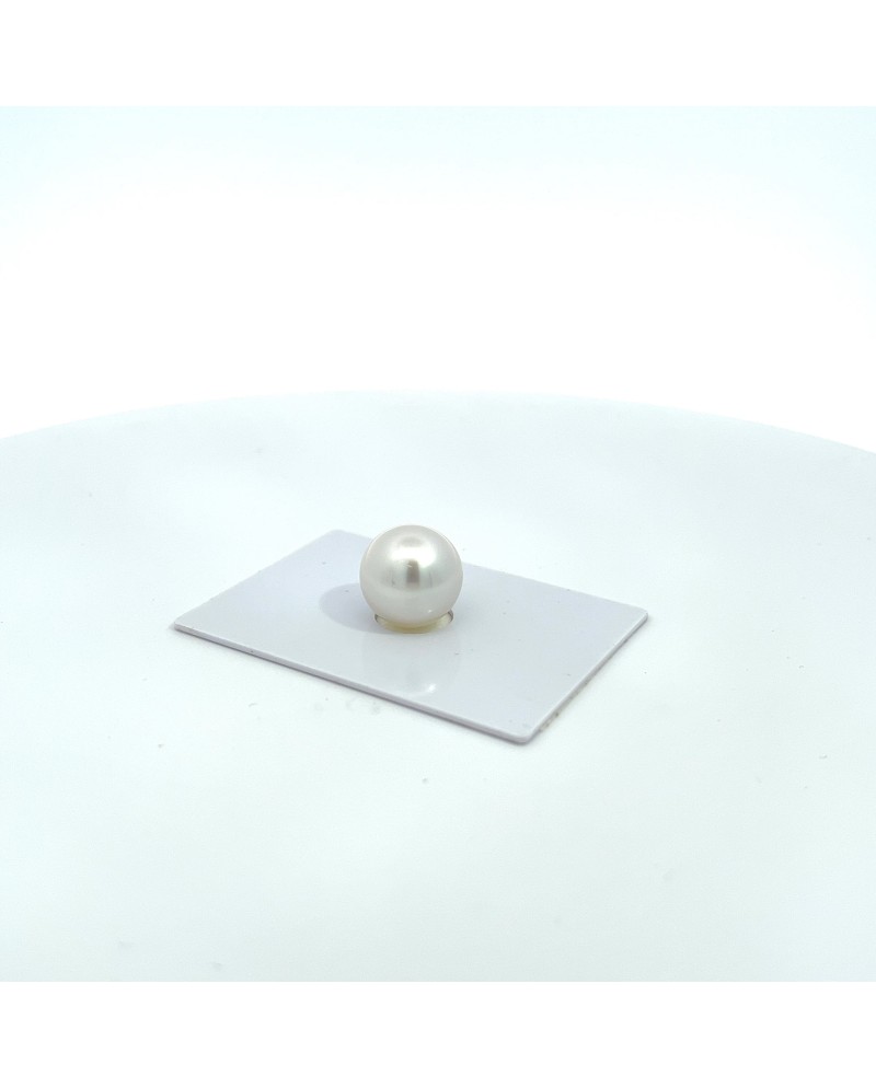 12mm+ gem  grade South Sea pearl, Australia