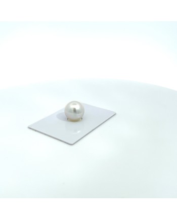 12mm+ gem  grade South Sea pearl, Australia