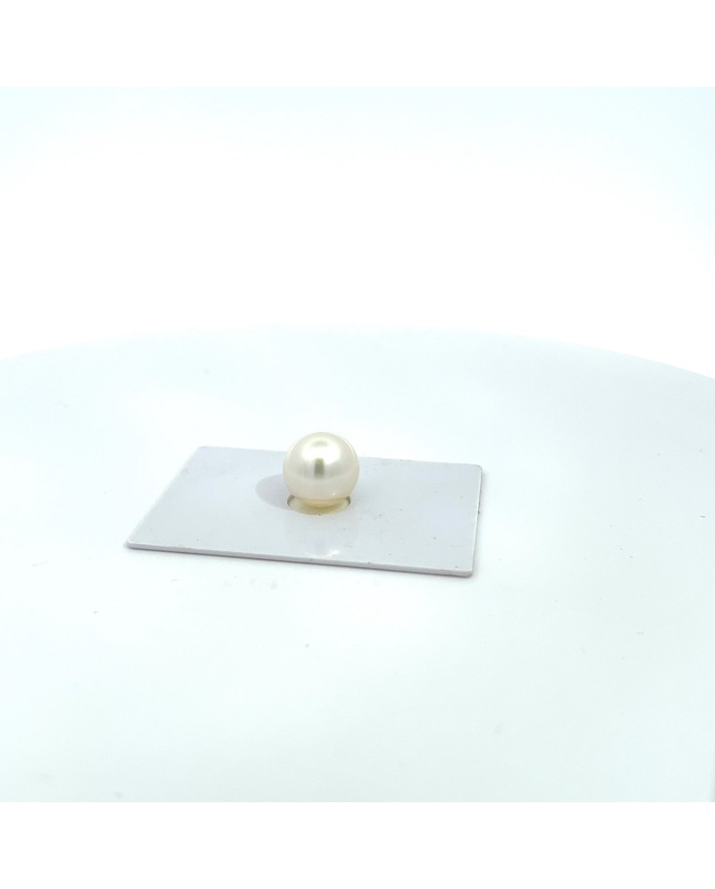 12.20x11.90mm South Sea pearl , origin Australia , fine  grade