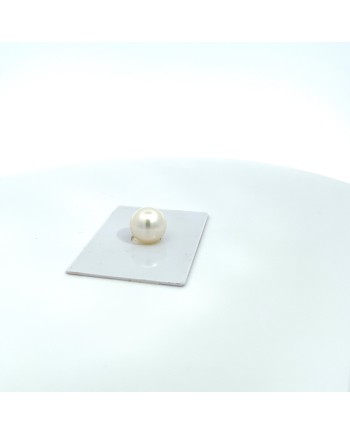 12.20x11.90mm South Sea pearl , origin Australia , fine  grade