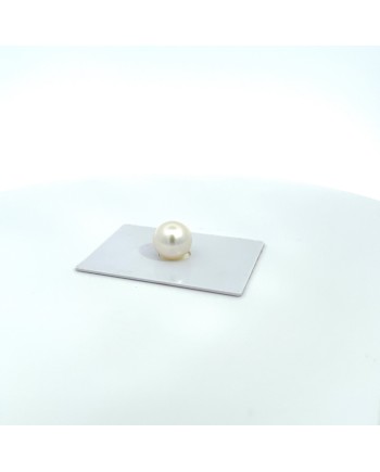 12mm+ fine  grade South Sea pearl, Australia