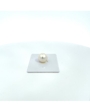 12.20x11.90mm South Sea pearl , origin Australia , fine  grade