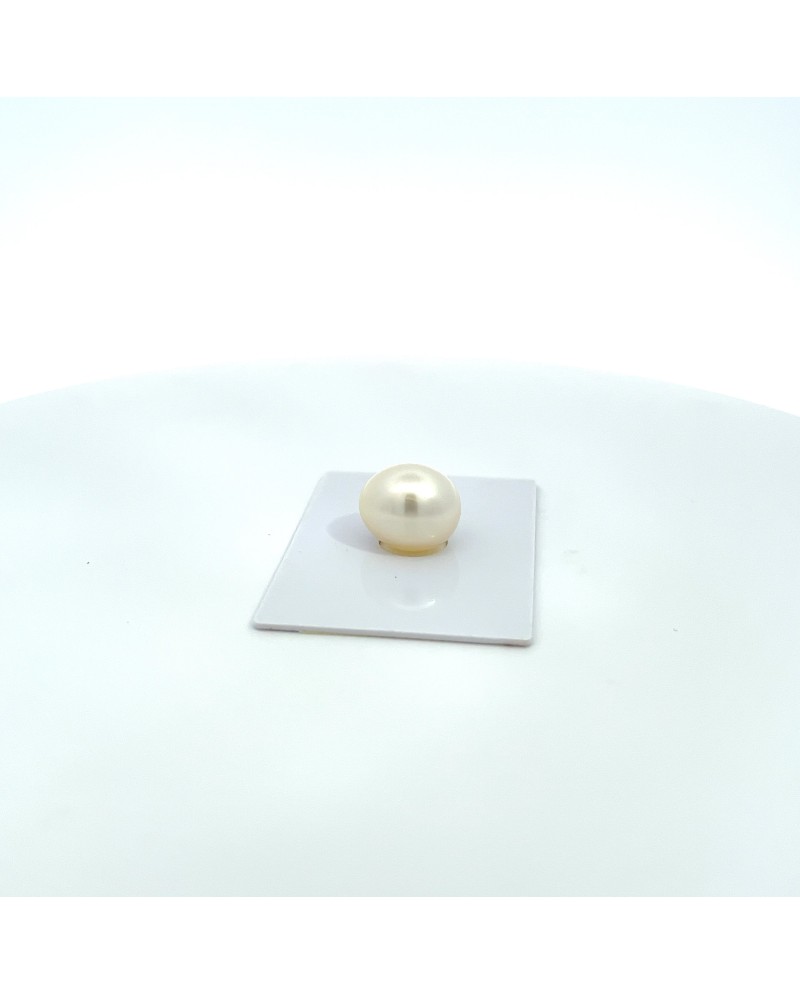 14.60x12.70mm South Sea pearl , origin Australia , fine  grade