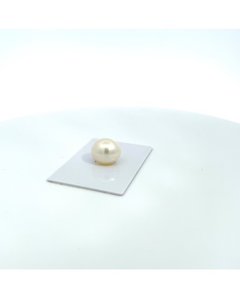 14.60x12.70mm South Sea pearl , origin Australia , fine  grade