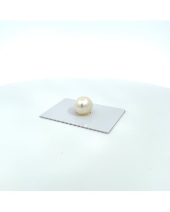 12mm+ fine  grade South Sea pearl, Australia