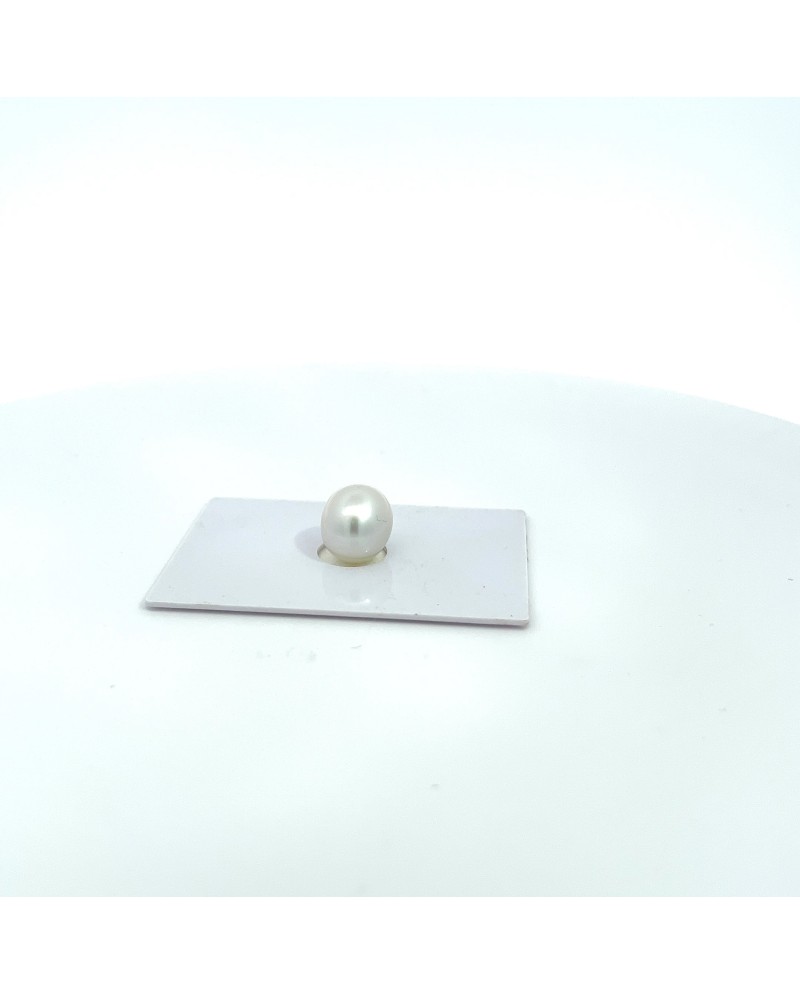 11.60x10.20mm South Sea pearl , origin Australia , gem  grade