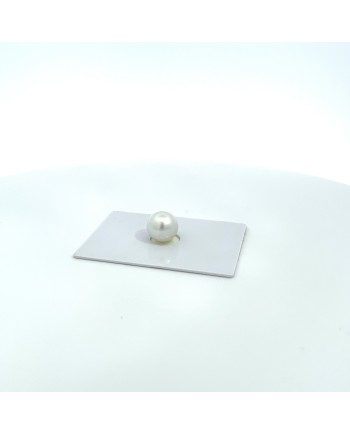 9mm+ gem  grade South Sea pearl, Australia