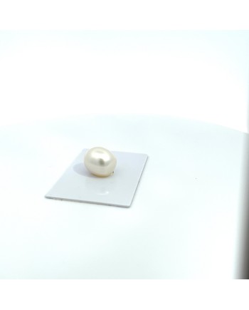 15.40x13.00mm South Sea pearl , origin Australia , fine  grade