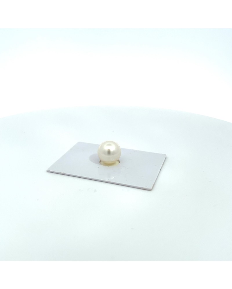 12.10x11.40mm South Sea pearl , origin Australia , gem  grade