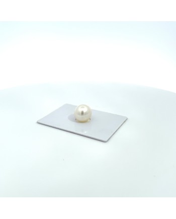 12mm+ gem  grade South Sea pearl, Australia