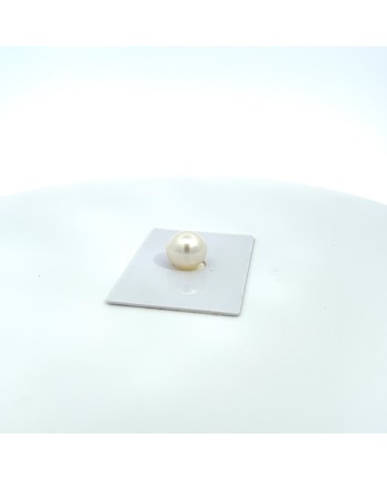 12mm+ gem  grade South Sea pearl, Australia