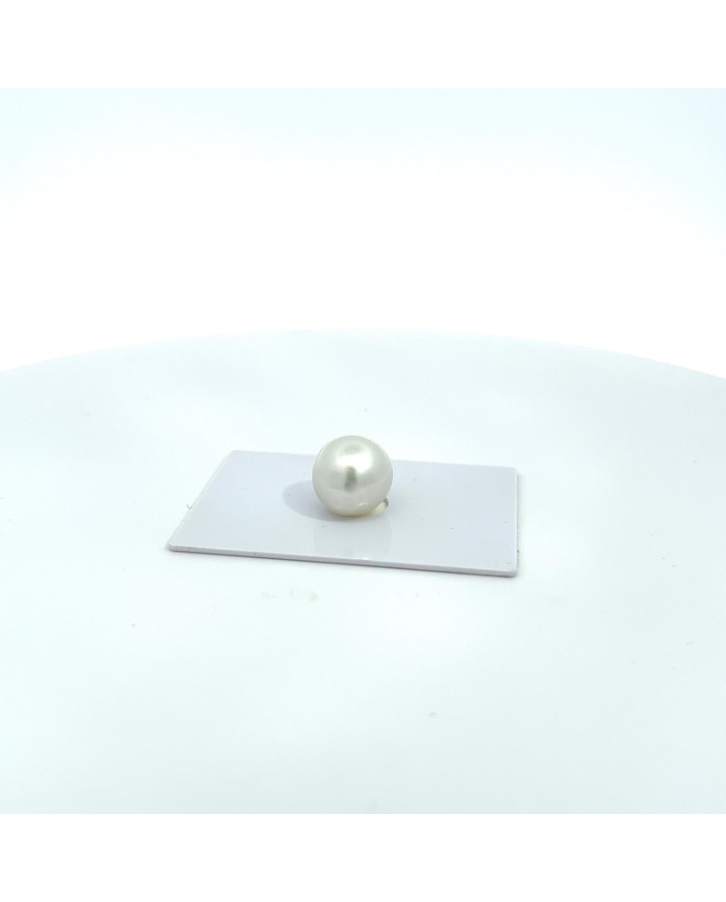 13.90x12.40mm South Sea pearl , origin Australia , fine  grade