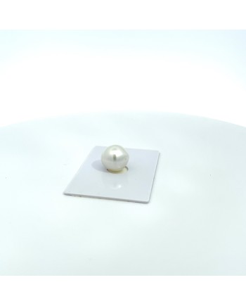 13.90x12.40mm South Sea pearl , origin Australia , fine  grade