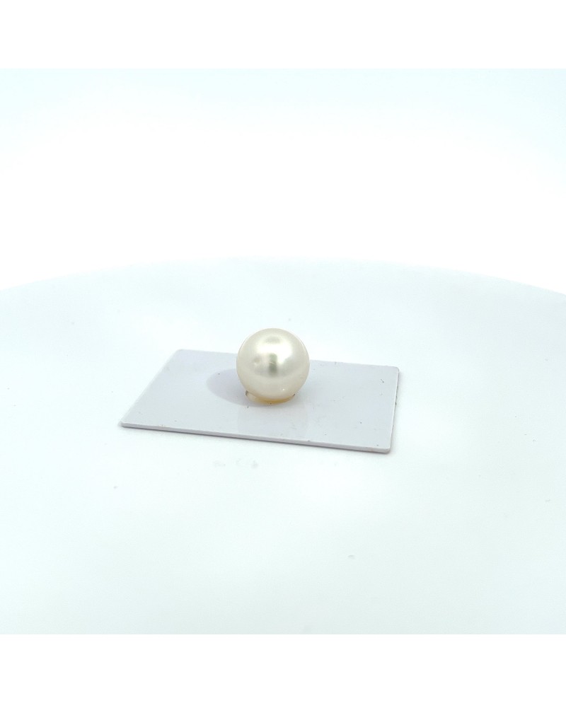 15.70x14.60mm South Sea pearl , origin Australia , jewel  grade