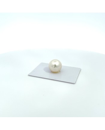 15mm+ jewel  grade South Sea pearl, Australia