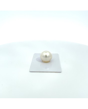 15.70x14.60mm South Sea pearl , origin Australia , jewel  grade