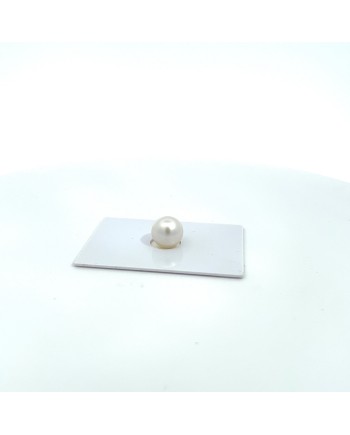 10.50x10.20mm South Sea pearl , origin Australia , fine  grade
