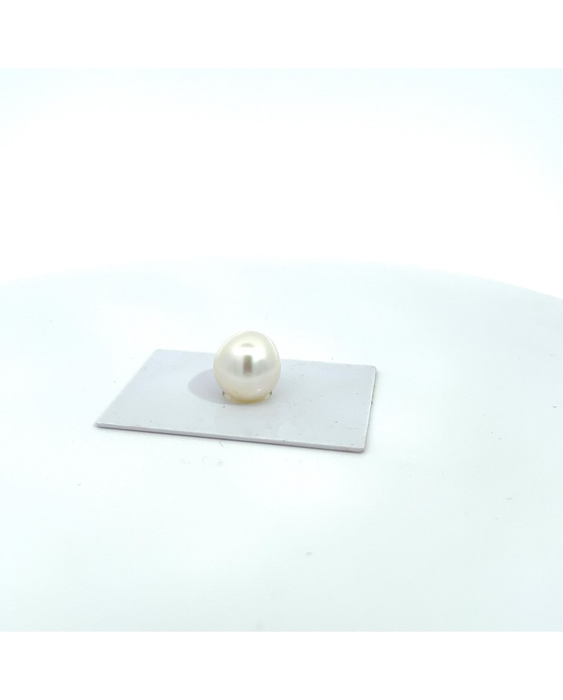14.70x13.40mm South Sea pearl , origin Australia , jewel  grade